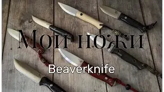 Мои ножи Beaverknife