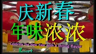 纽约 华人 庆新春，过春节 红灯笼 高高挂 节日好热闹，年味浓浓