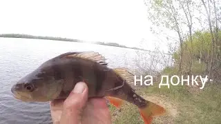 Ловля на донку с берега , на донку на реке.