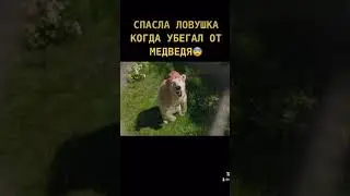 Удивительное путешествие Доктора Дулитла
