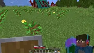 Deadly Disasters but Celemim is streaming