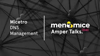 DNS management with Micetro - Amper Talks Demo
