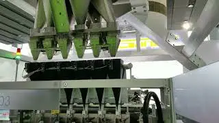 Gantan 6 lanes weigher