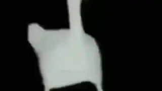Goose Default Dance Meme