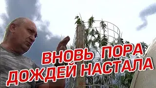 ВНОВЬ ПОРА ДОЖДЕЙ НАСТАЛА