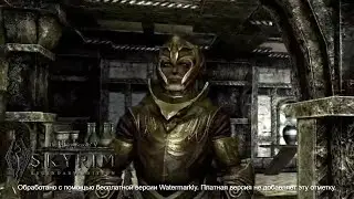 ДИПЛОМАТИЧЕСКАЯ ПРИКОСНОВЕННОСТЬ #69 "The Elder Scrolls V: Skyrim"