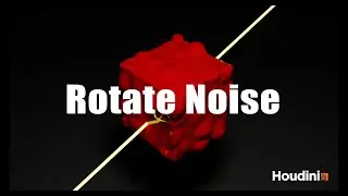 Houdini Rotate noise