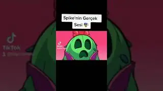 Bilgi Camiası Yeni Brawl Stars Gizem Videoları #1
