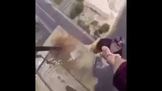 Hell to the Naw