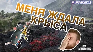 PUBG-ВСТРЕТИЛ КРЫСУ на PARAMO