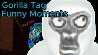 Funny moments with mods Gorilla Tag (MUST WATCH)