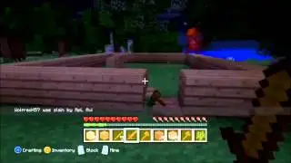 Trolling little kid in minecraft