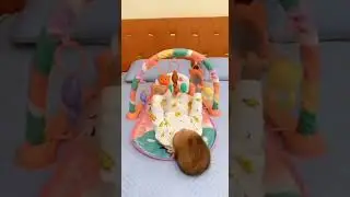 Развивающий коврик арт 0629
