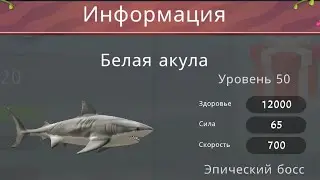 WildCraft   БАГ С БОССОМ  в Порт Рояль!!!