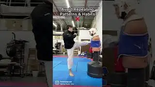 Sparring Tips Overview - Martial Arts Taekwondo Kickboxing Karate