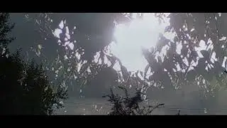 СБОРНИК ПЕСЕН  ЖИВИ КАЙФУЙ СМОТРИ В НЕБО ТАМ ВСЕ ЧУДЕСА