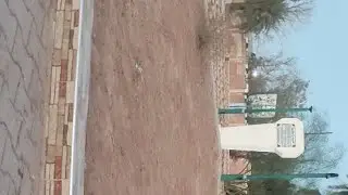 لايف في روبوا سانتيار بشار