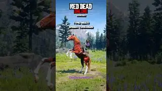RDO horses showcase p.15🤠🐴 [