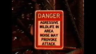 Meat Canyon Found Footage