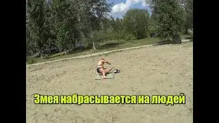 Бешенная змея на пляже / Алеша Попович пранк