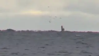 somebody on the Caspian Sea 😁😁😁