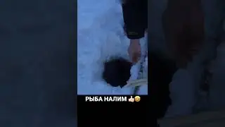 РЫБА НАЛИМ 👍🏻🤩 