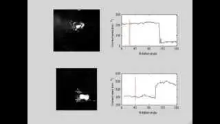The Remarkable Attachment Abilities of the Torrent Frog, Staurois guttatus (Movie 3)