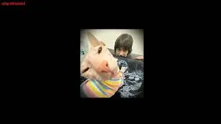 ЮГ 404 - Маньяки (ｓｐｅｅｄ ｕｐ)