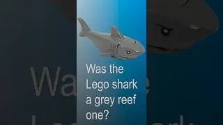 LEGO Shark Emerges Unexpectedly After 27 Years
