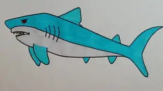 How to draw a shark#howtodraw#artforkidshub
