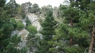 Крым. Крымский природный заповедник