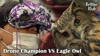 Incredible Race Of Eagle Owl VS DRONE CHAMPION (Part 2) l Kritter Klub