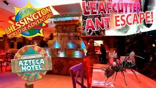 Leafcutter Ants Escape at Chessington Azteca Hotel Restaurant