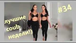 Coub лучшее за июнь 2018