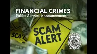 PSA: Financial Crimes (2024)