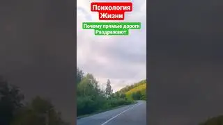 Психология Жизни-Почему Нормальных людей раздражают Прямые дороги