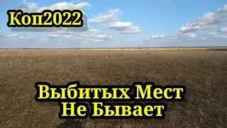 ВЫБИТЫХ МЕСТ НЕ БЫВАЕТ. КОП 2022. НАХОДКИ С ФОРТУНА ПРО 2.