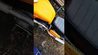 ПОТАТО И ПЛАНЕТА