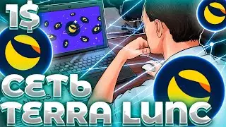 СРОЧНО! LUNC ЗАПУСКАЕТ НОВУЮ СЕТЬ! ОБВАЛ LUNC НАЧАЛСЯ! LUNC СТРАДАЕТ БЕЗ КАТАЛИЗАТОРОВ!