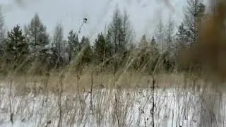 АННА ЛОЗОВЕЦ - А ЗИМА БУДЕТ БОЛЬШАЯ