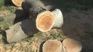 Stihl MS 250 из Махачкалы