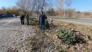 Посадка елей в г. Лениногорск