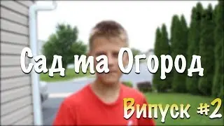 САД ТА ОГОРОД - Випуск №2 | Телеканал 3+3