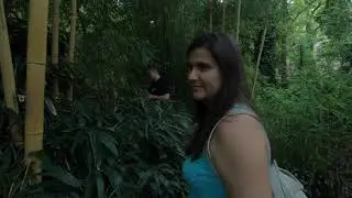 Füvészkert Kaktuszkiállítás 2019 4K