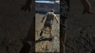 смех до боли в животе))
