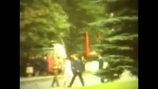 1981   LGU0901