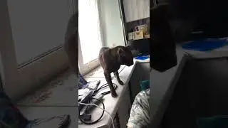 ❤️Марсель❤️