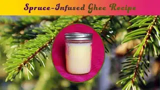 How to Make Spruce-Infused Ghee with Foraged Edible Spruce Needles