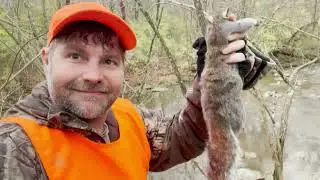SQUIRREL HUNTING EVERY STATE! OHIO!