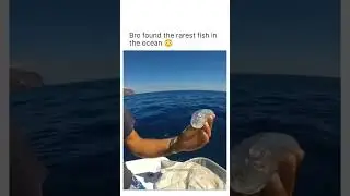 rarest fish found in the ocean 😳 #shorts #ocean #facts
